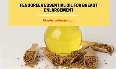 side effects of fenugreek breast enlargement|Fenugreek Essential Oil for Breast Enhancement: How to Use it Safely.